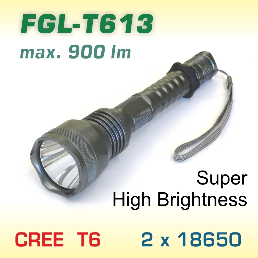 FlexGreen FGL-T613 LED baterka T6, 2x18650